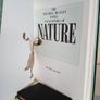 The Mitchell Beazley Family Encyclopedia of Nature by Mitchell Beazley (RB265) Image 2