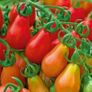 Selection of Vegetable seeds from 1.00 euro Image 9