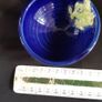 Small Pottery Bowl with Cute Frog Image 5