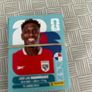 Panini World Cup Stickers Image 3