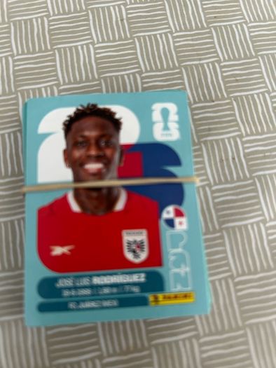 Panini World Cup Stickers
