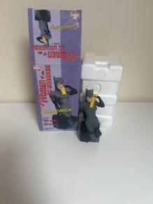 Catwoman dc universe ( please read detail before making a offer )