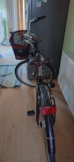 Liv by Giant vintage-style city bike