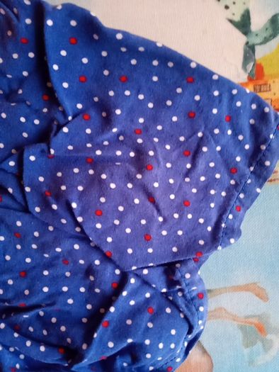 pumpkin patch red and blue dress