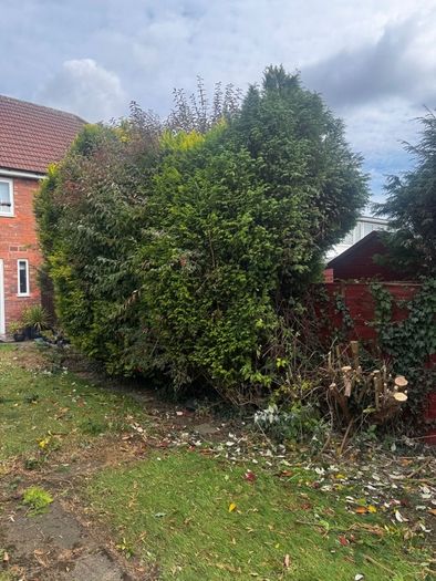 Gardening & Tree Service