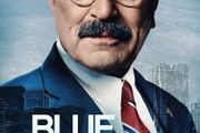 Blue Bloods Seasons 1-13 DVD AS NEW