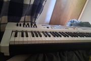 casio px 5s