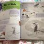 Kids Learn to draw book bundle Image 8