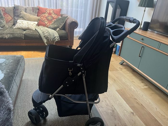 Pet buggy