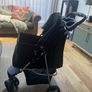 Pet buggy Image 3