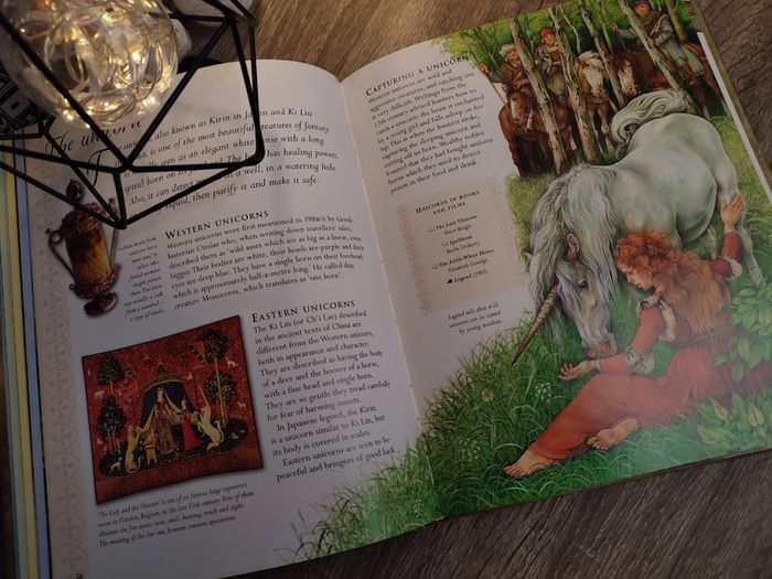 Fantasy Encyclopedia ! Hardcover ! 2005 ! by Kingfisher !