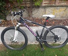 Women's Mountain Bike