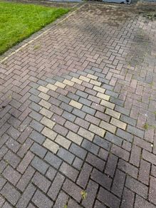 Bricks