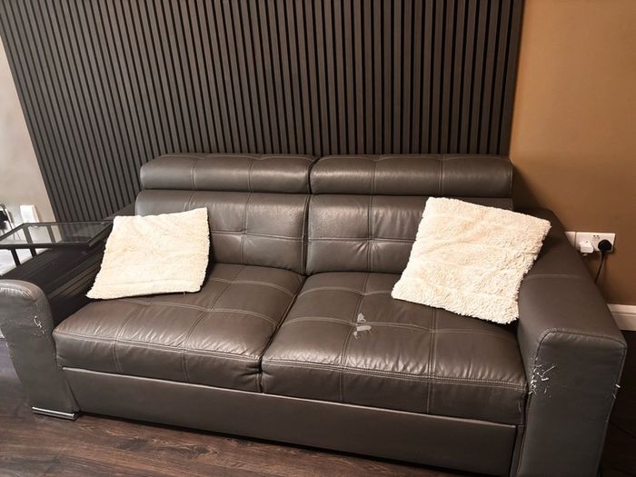 sofa bed and sofa