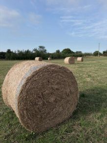 Round Hay Bales