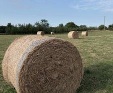 Round Hay Bales