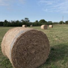 Round Hay Bales