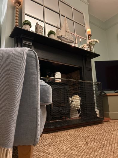 Antique Nursery Fire Surround