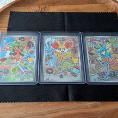 Pokemon TCG Kalos Starter Trio 30th Anniversary First Partner Set