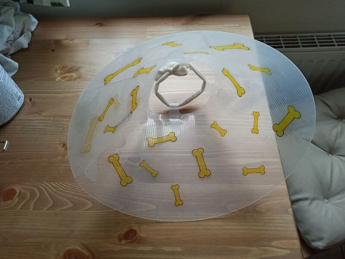 Dog cone - 20cm - free