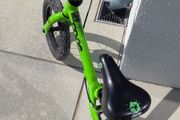 Frog tadpole balance bike