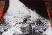 Godspeed You! Black Emperor - Asunder, Sweet And Other Distress  12" LP