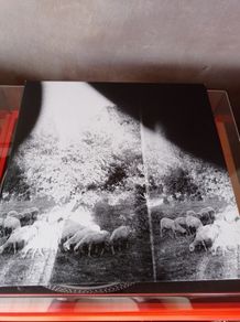 Godspeed You! Black Emperor - Asunder, Sweet And Other Distress  12" LP