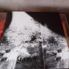 Godspeed You! Black Emperor - Asunder, Sweet And Other Distress  12" LP