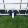 Bull tank Image 2