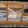 Large hamster cage + accessories + Robovski dwarf hamster Image 2