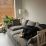 Sofa for sale Image 2