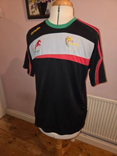 Carlow Colts GAA Jersey - Medium size