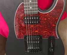 Harley Benton TE-20 HH
