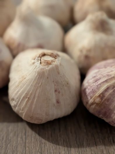 Home grown garlic