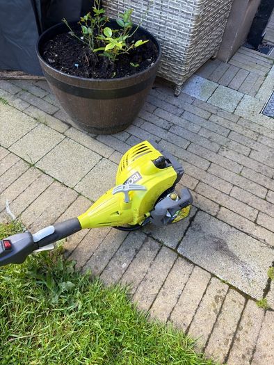 Lawnmower Pro-lawn + Ryobi petrol strimmer