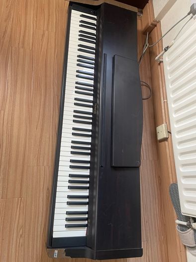 Roland HP137