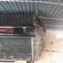 Mr2 sw20 radiator Image 6