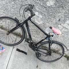 Trek bike