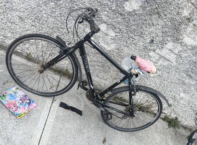 Trek bike