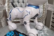 robo dog