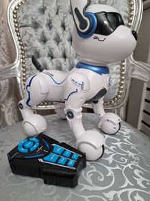 robo dog