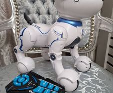 robo dog
