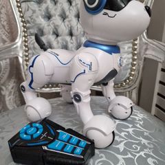 robo dog