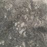 New long sleeved black lace shirt with tags Image 3