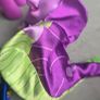 Twilight Sparkle as Star Swirl The Bearded & Spike Collector Set 6 inch Brushable MLP G4 My Little Pony 2016 Image 6