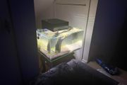 Fluval 23l Fishtank