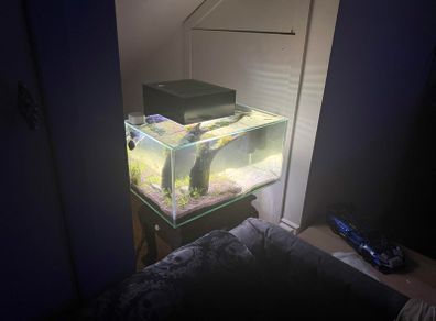 Fluval 23l Fishtank