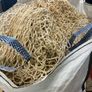 net Image 2