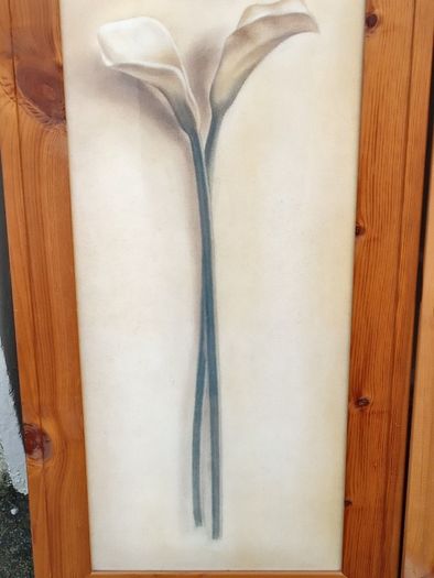 Beautiful Set of 2 Large Flower Pictures