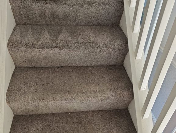 Professional Carpet and Upholstery Cleaning